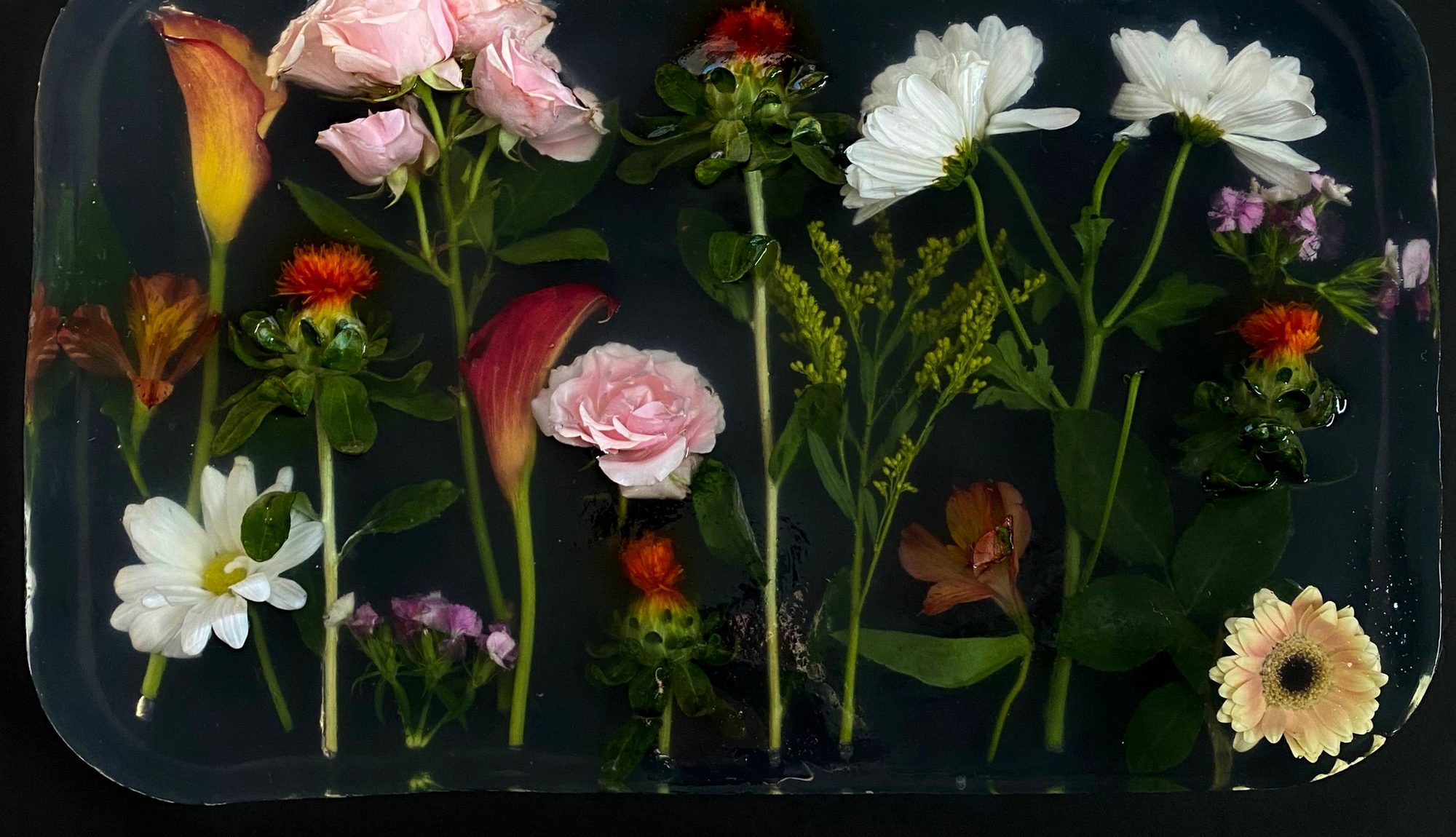 Whole flower stems set in a clear resin block